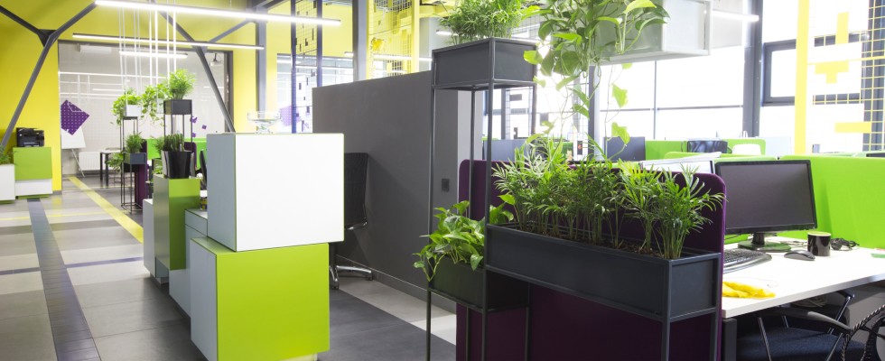 A modern office space is filled with green and white cubes and potted plants.