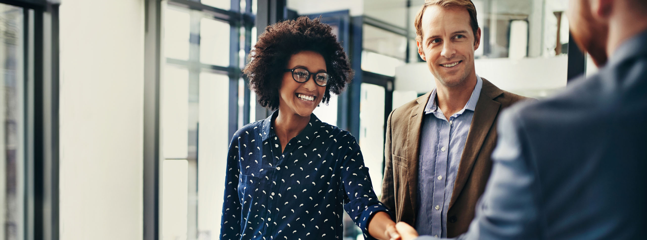 Partners in business meet and shake hands.